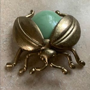 Large decorative bug beetle insect